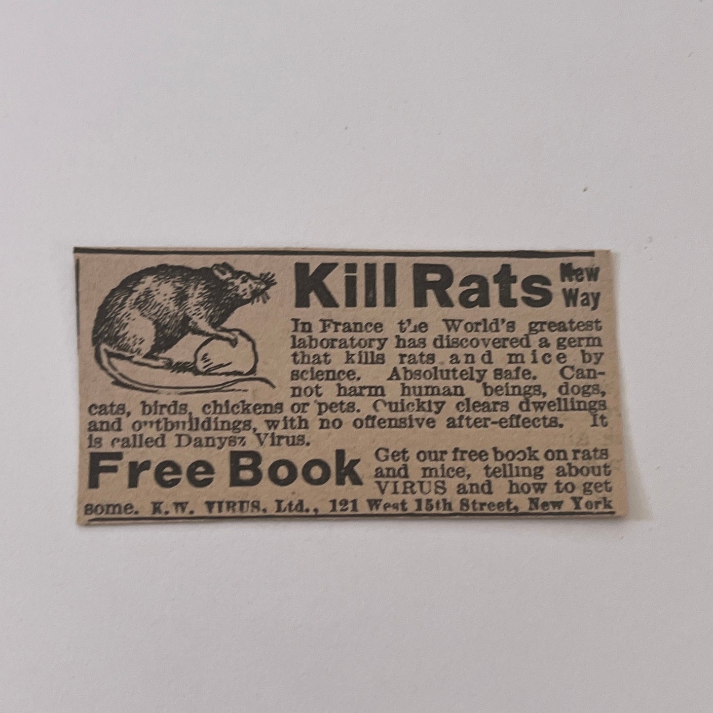 K.W. Virus, Ltd. Kill Rats New Way New York NY 1931 Newspaper Ad SAG4-S13