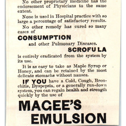 Hop Plaster Company Boston Indian Quackery c1890 Victorian Ad AE8-CH10