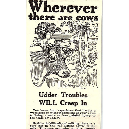 Pisgah Maid Hosiery Co Ladies Silk Hose Hendersonville NC 1924 Ad AG3-M3