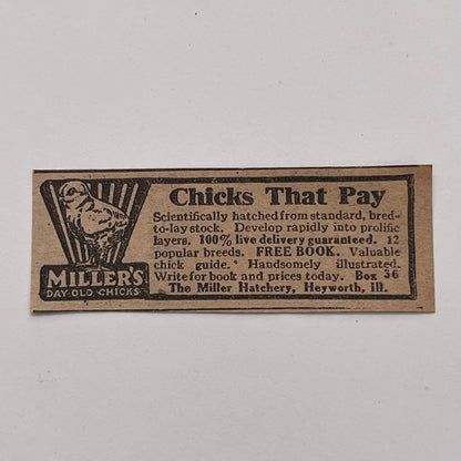 The Miller Hatchery Day Old Chicks Heyworth Illinois 1926 Ad AG3-S1