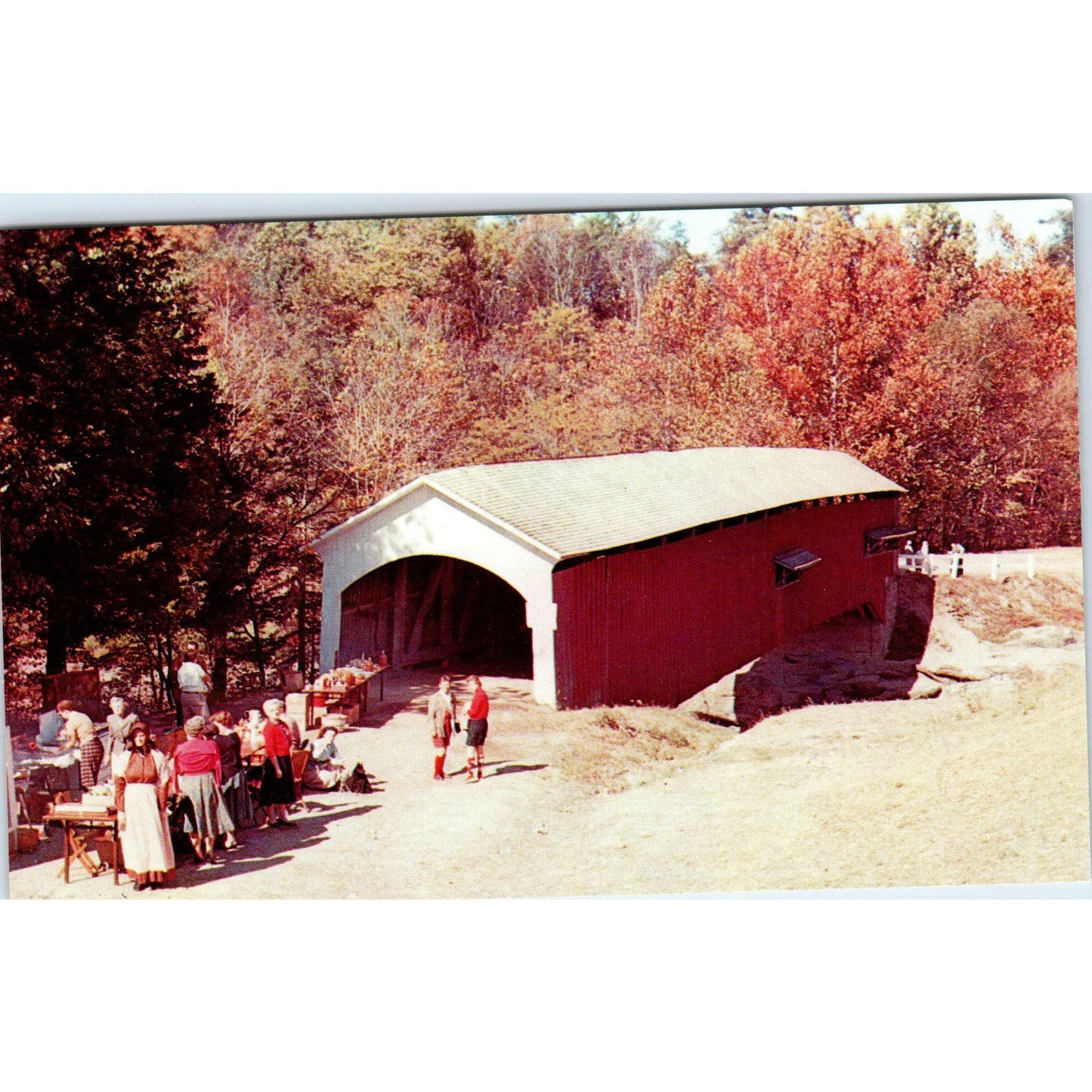 Narrows Bridge Turkey Run State Park IN Vintage Covered Bridge Postcard PD1