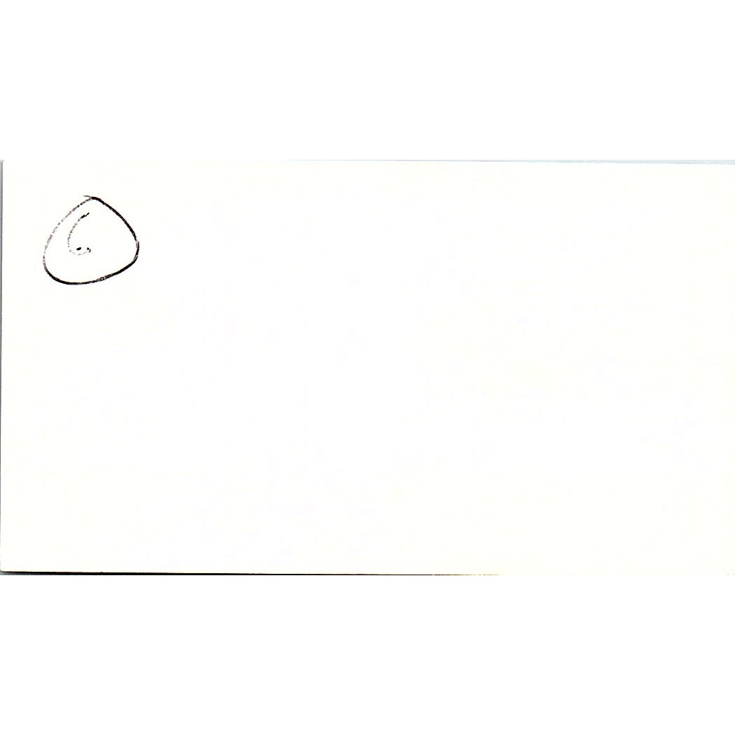 Saleplace Wedding Superstore Teresa Hobbs Balch Springs TX Business Card SC9-B9