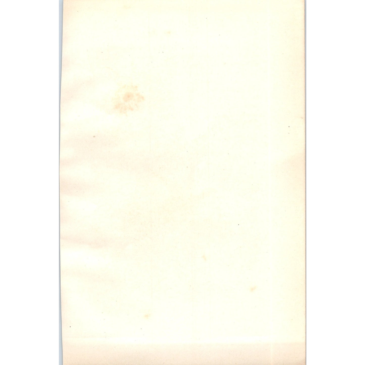 Spotted Fly-Catcher Bird 1903 Original Color Engraving Plate Print AD8-B8