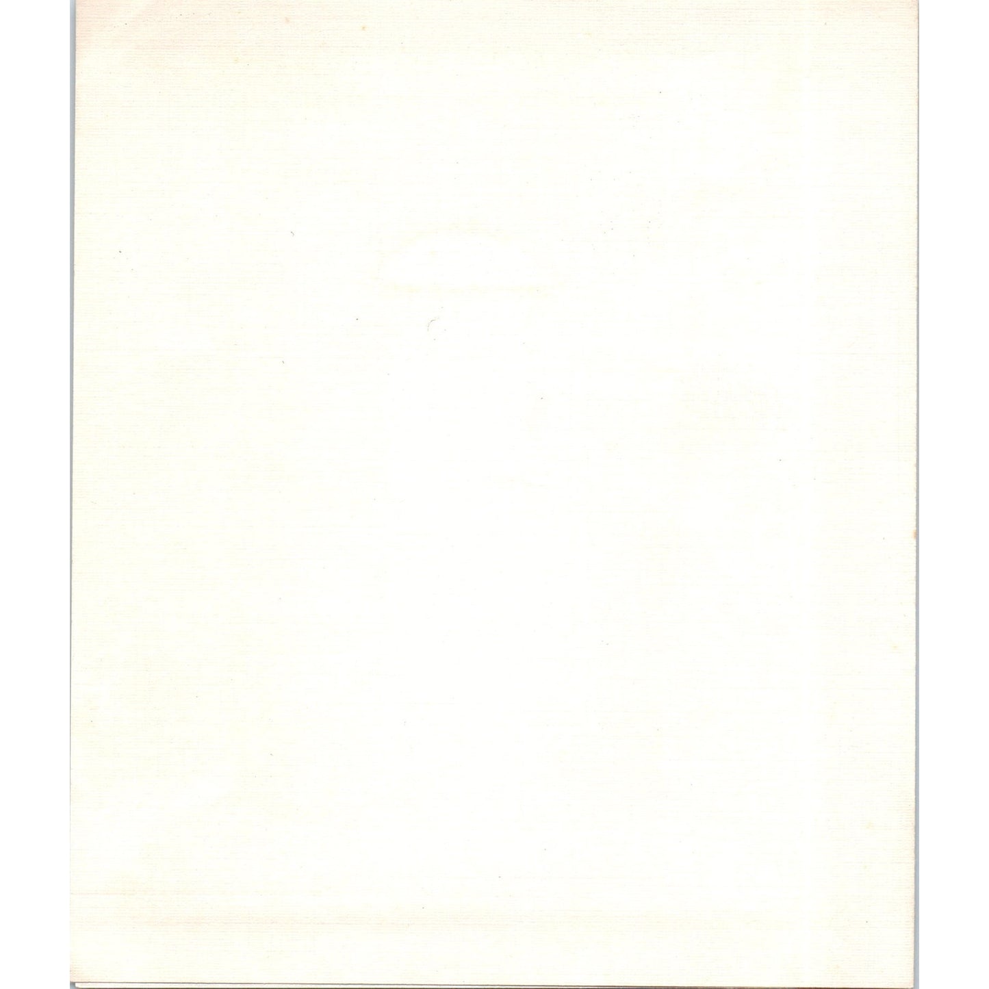 Vintage Hotel New Yorker Blank Letterhead AD8-R6