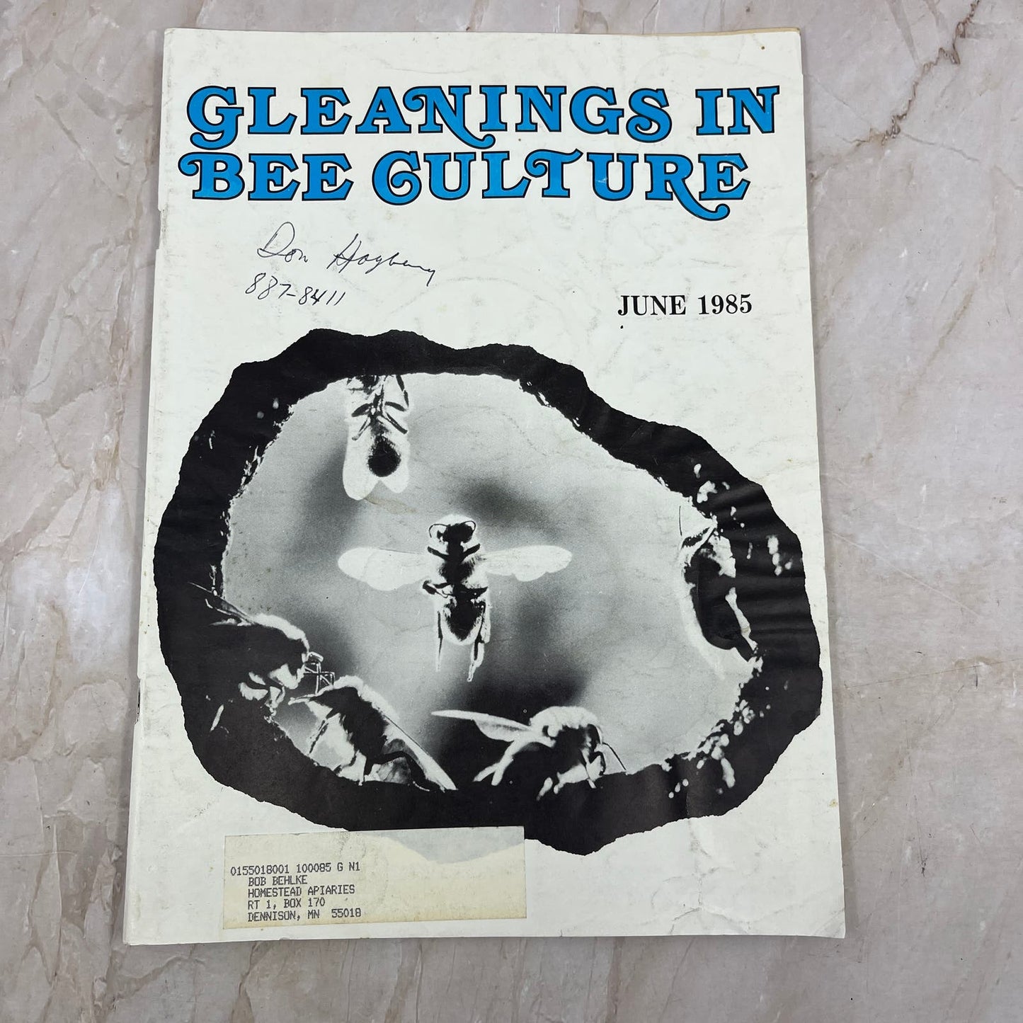 1985 June - Gleanings in Bee Culture Magazine - Bees Beekeeping Honey M9