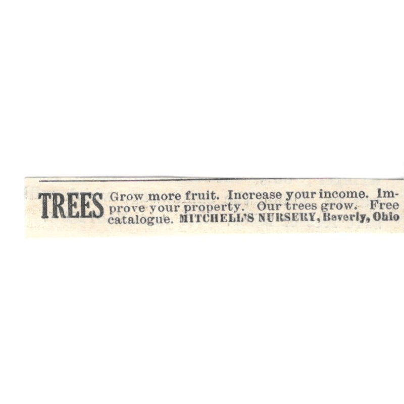 Mitchell's Nursery Fruit Trees Beverly Ohio 1924 Ad AG3-S7