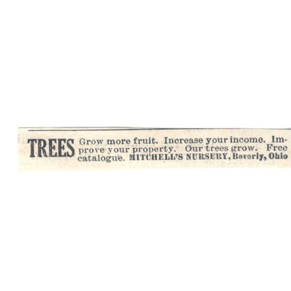 Mitchell's Nursery Fruit Trees Beverly Ohio 1924 Ad AG3-S7