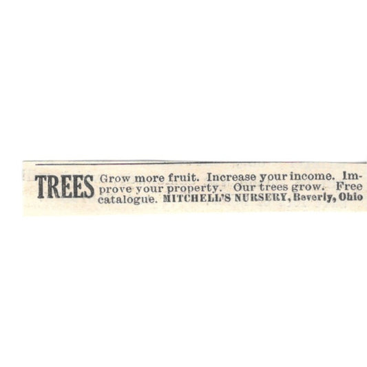 Mitchell's Nursery Fruit Trees Beverly Ohio 1924 Ad AG3-S7
