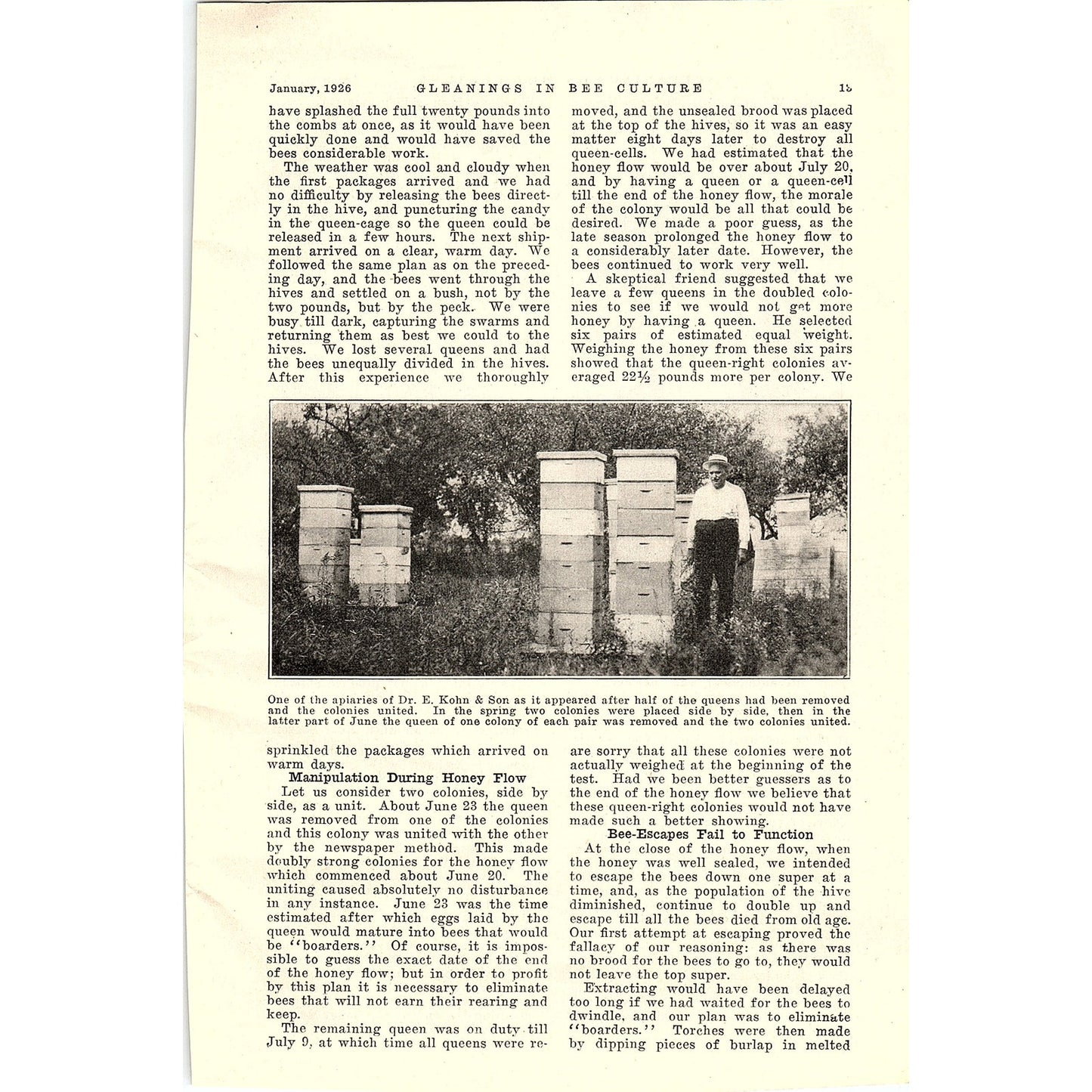 Southern Bees and Northern Honey Dr. Ernest Kohn 2 Page Article 1926 AG3-9