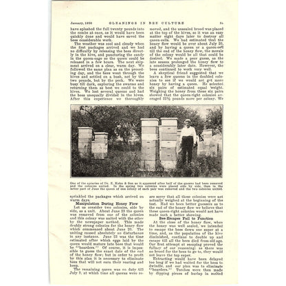 Southern Bees and Northern Honey Dr. Ernest Kohn 2 Page Article 1926 AG3-9