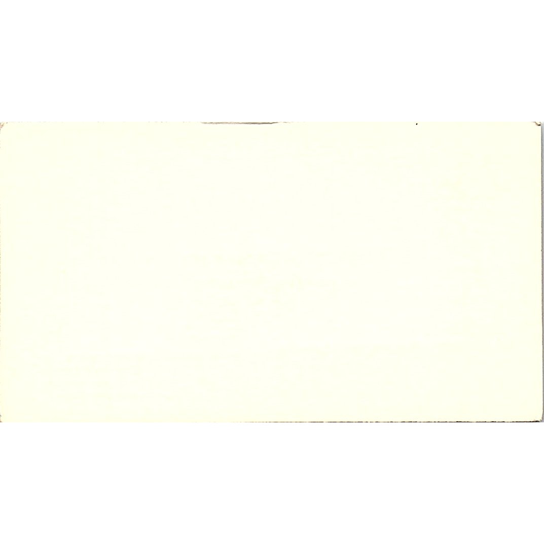 Transcon Lines Mike Brannon Houston Texas Vintage Business Card SB4-B5