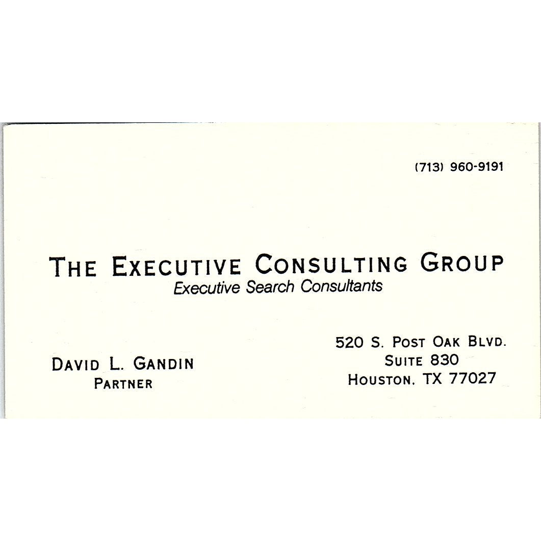 The Executive Consulting Group David L. Gandin Houston TX Business Card SF3-B8