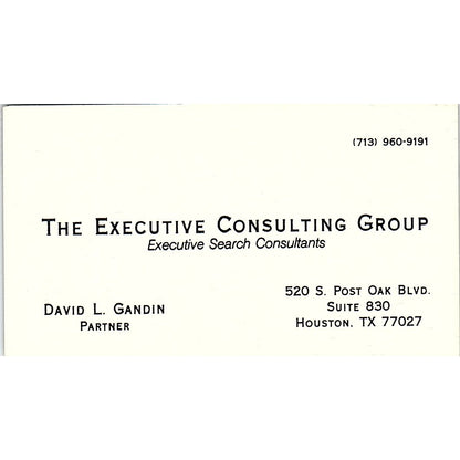 The Executive Consulting Group David L. Gandin Houston TX Business Card SF3-B8