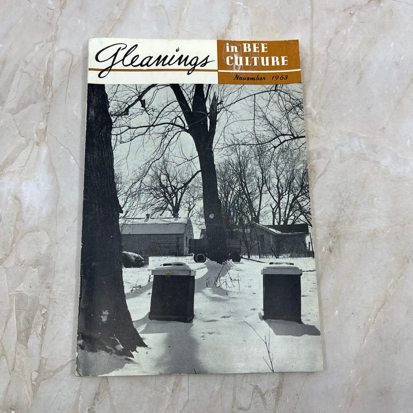 1963 Nov Gleanings in Bee Culture Magazine Bees Beekeeping Honey TD7