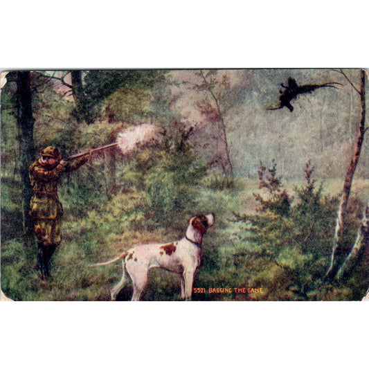 Hunting Scene Hunter Bird Dog Pointer c1909 Postcard PD2