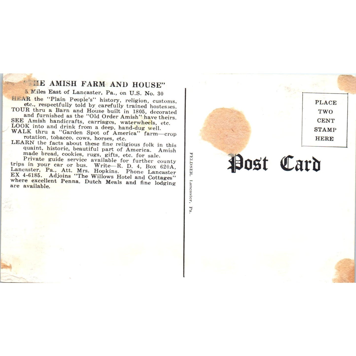 Lancaster Amish Farm & House Illustrated Pennsylvania Dutch Country Postcard PD5