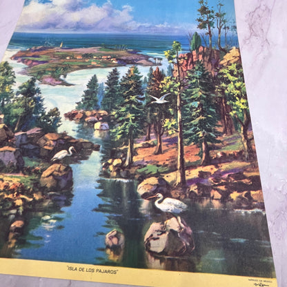 Isla De Los Pájaros Vintage Mexican 12x14" Art Print V21