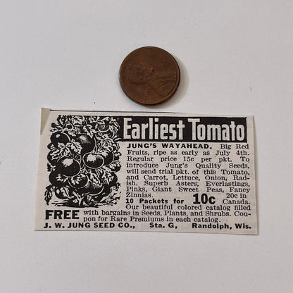 J.W. Jung Seed Co. Jung's Wayahead Randolph WI 1936 Ad SAG4-M4