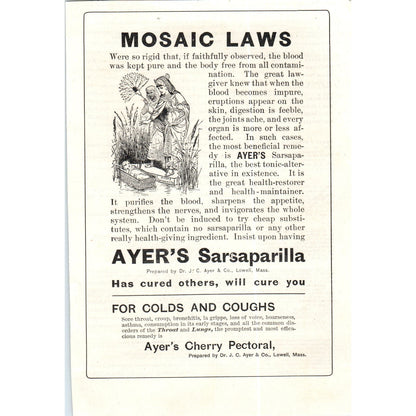 Ayer's Sarsaparilla Cherry Pectoral for Colds & Coughs c1890 Victorian Ad AE8