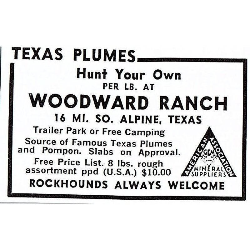 Woodward Ranch Texas Plumes Alpine Texas 1972 Ad AF8-M3