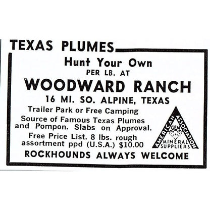 Woodward Ranch Texas Plumes Alpine Texas 1972 Ad AF8-M3
