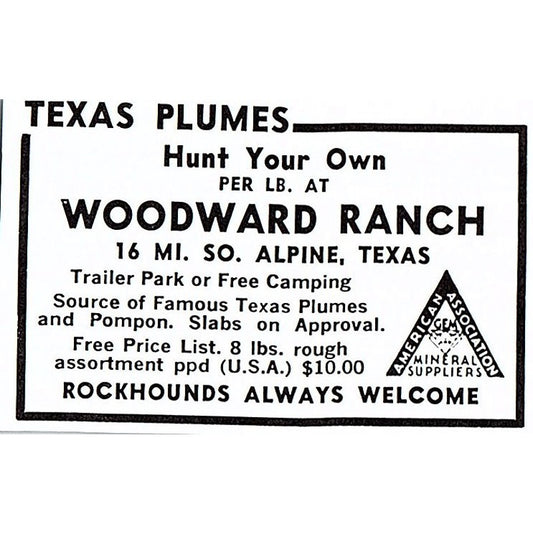 Woodward Ranch Texas Plumes Alpine Texas 1972 Ad AF8-M3