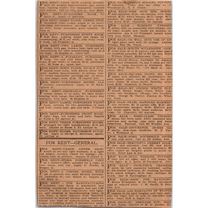 Public Market Groceries Hartford 1901 Newspaper Ad AD8-H1