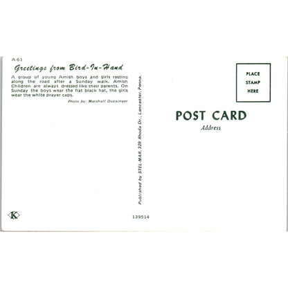 Amish Boys & Girls Bird-in-Hand Pennsylvania Dutch Country Vintage Postcard PD5