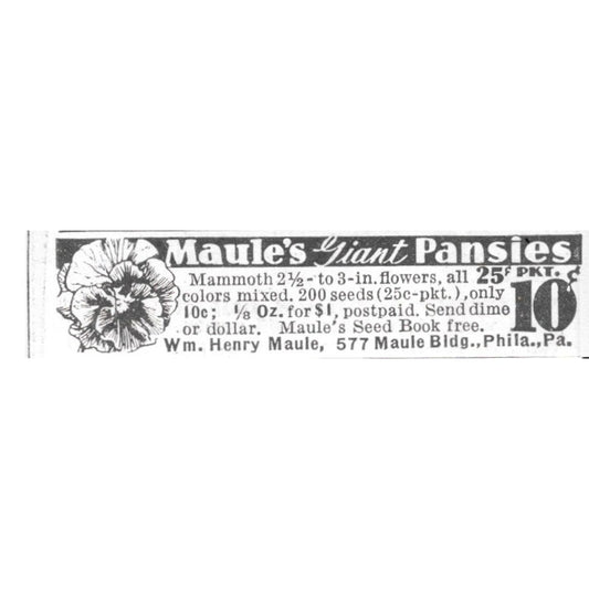 Wm. Henry Mauie Mauie's Giant Pansies Philadelphia PA 1936 Ad SAG4-S12