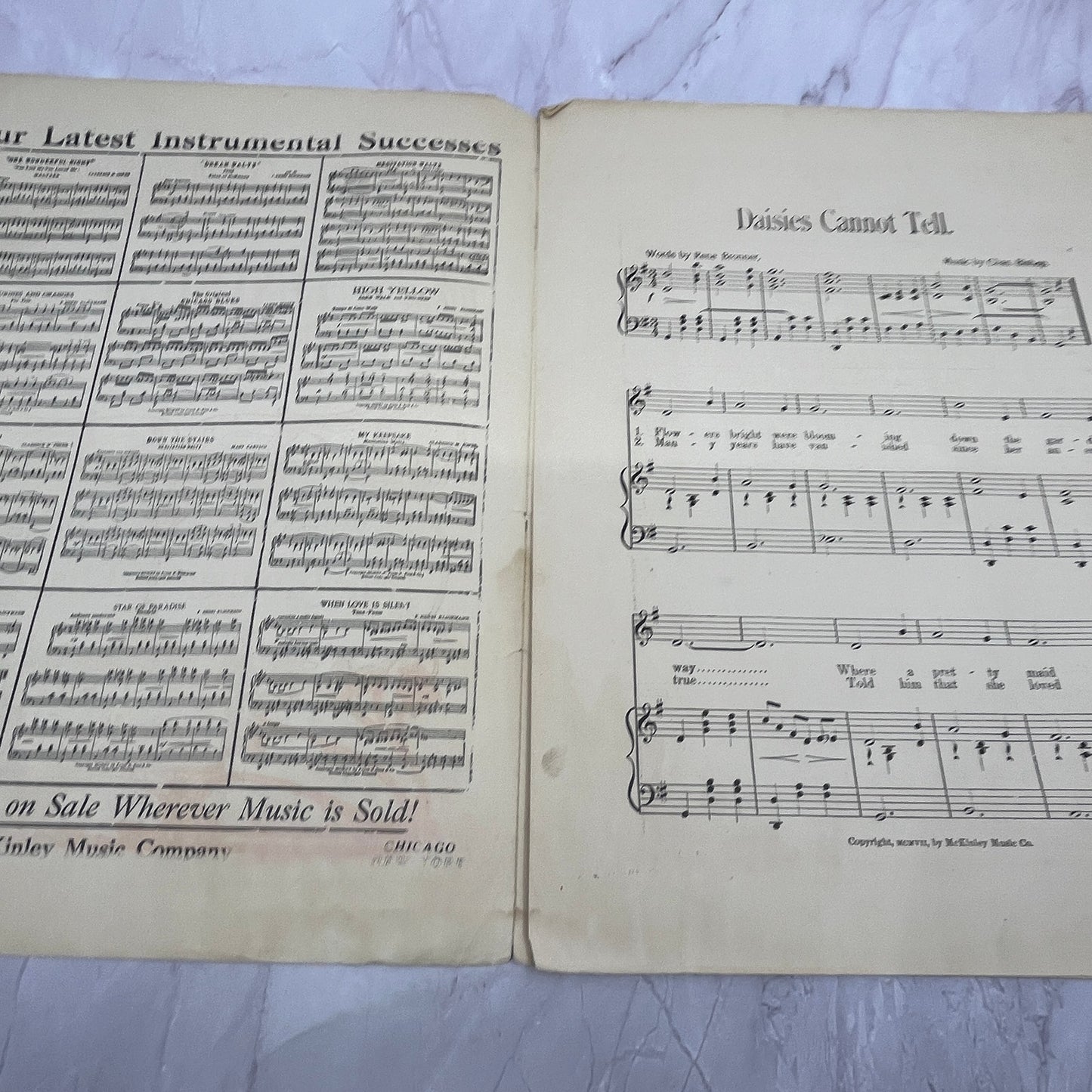 Daisies Cannot Tell Rene Bronner Chas Bishop 1907 Sheet Music V15