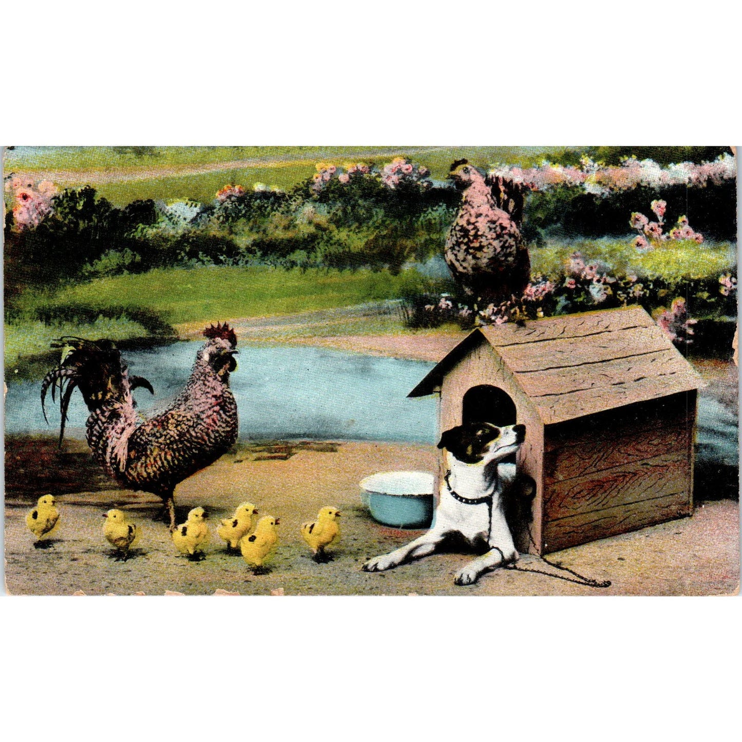 Dog in Dog House With Chickens & Chicks c1908 Postcard PD2