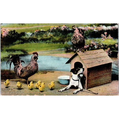 Dog in Dog House With Chickens & Chicks c1908 Postcard PD2