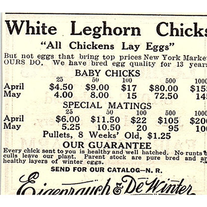 Fair Acres Farm Leghorn Pullets Skaneateles NY 1924 Ad AG3-S18