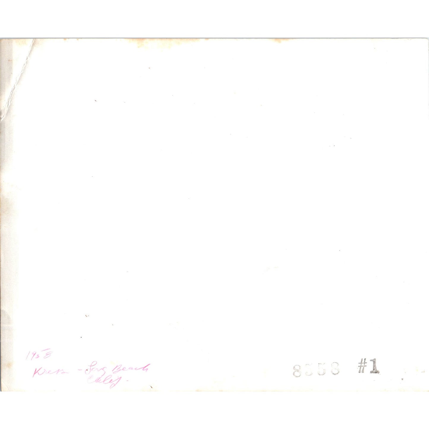 1958 Photograph of a Diner Cafeteria in Long Beach California 8x10 AE4