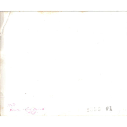 1958 Photograph of a Diner Cafeteria in Long Beach California 8x10 AE4