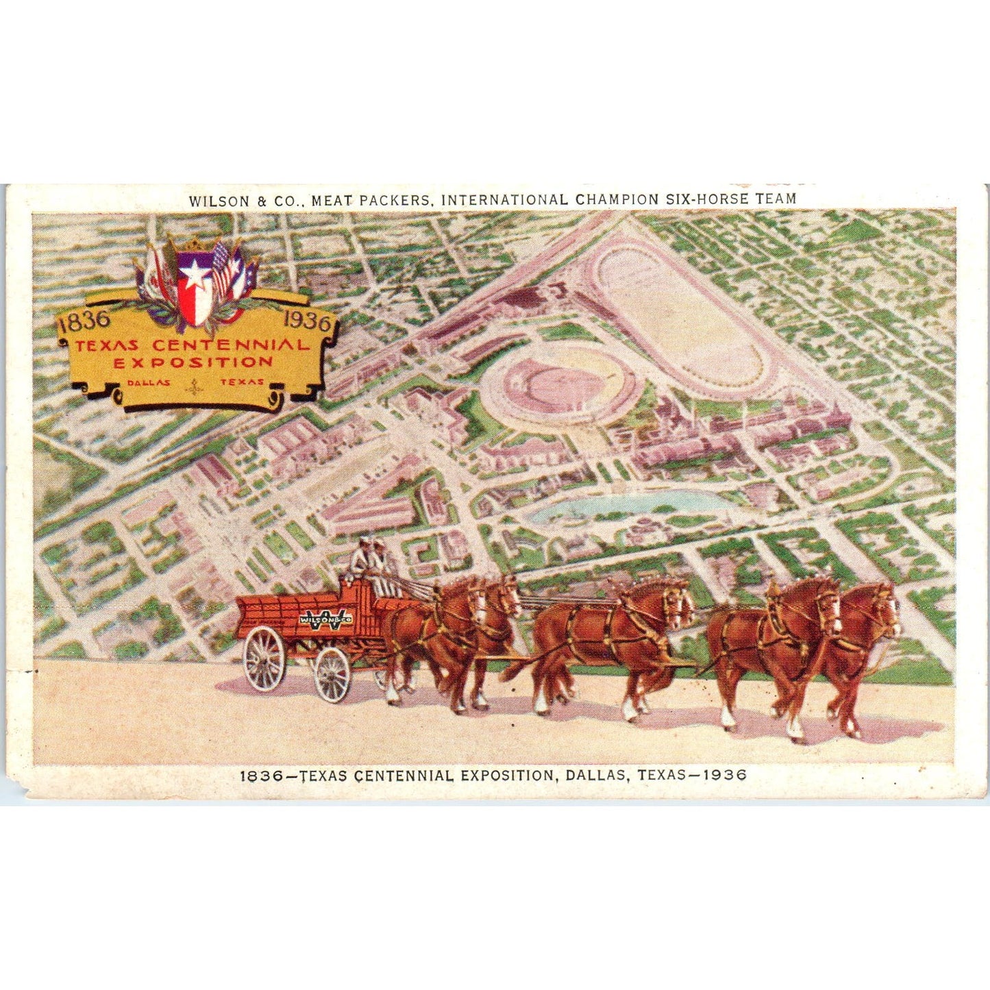 1936 Texas Centennial Exposition Wilson & Co Meat Packer Horse Team Postcard PC7