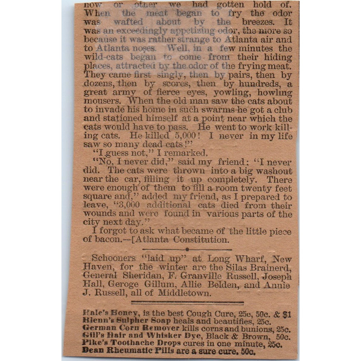 Fowler & San Souci's Clothing Main Street Hartford 1886 Newspaper Ad AF7-E5