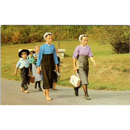 Amish Children Walking Home From School Pennsylvania Dutch Country Postcard PD7