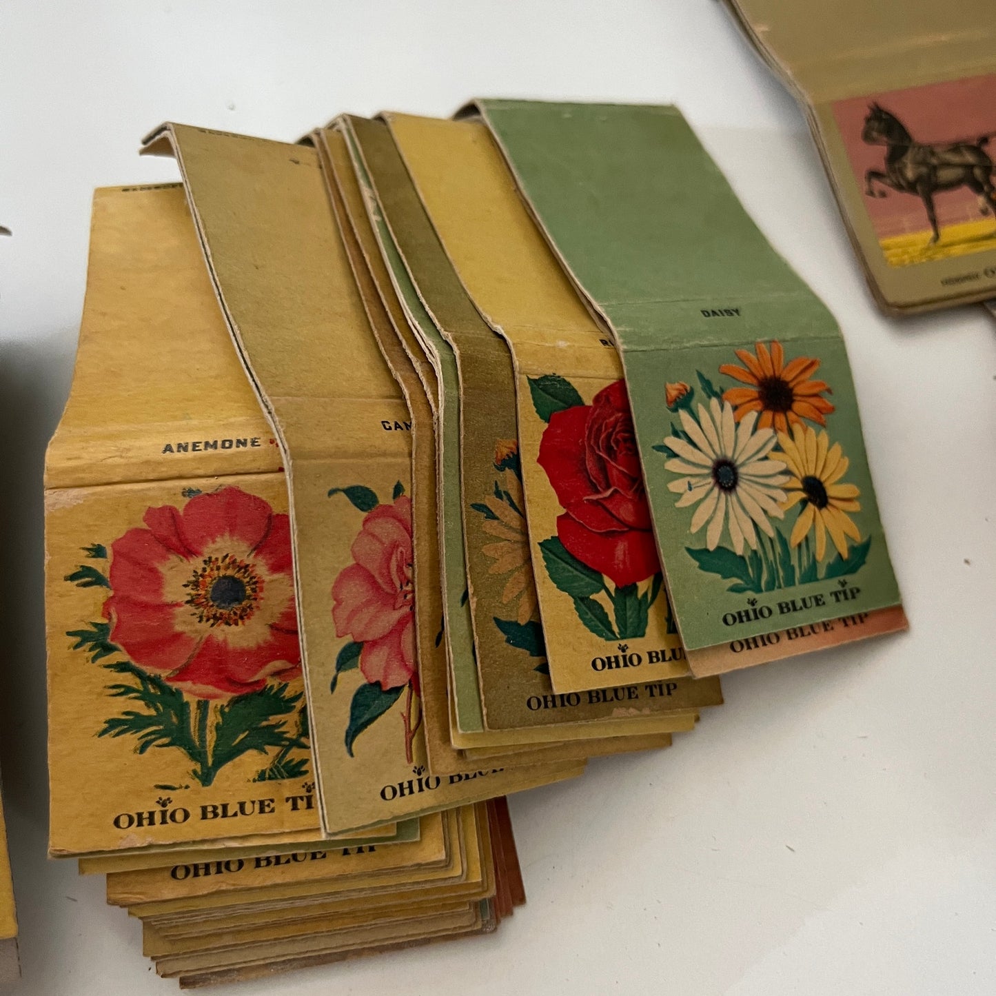 Huge Lot of Vintage Ohio Blue Tip Nature Matchbook Match Covers Bird Flower TF9