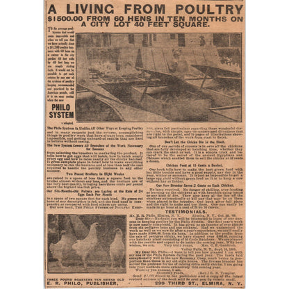 Poultry Farming E.R. Philo Elmira NY 1910 Magazine Ad AF1-CM5