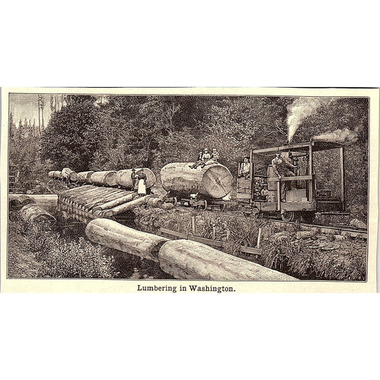 Lumbering in Washington 3x4" 1901 Engraving AF6-M16