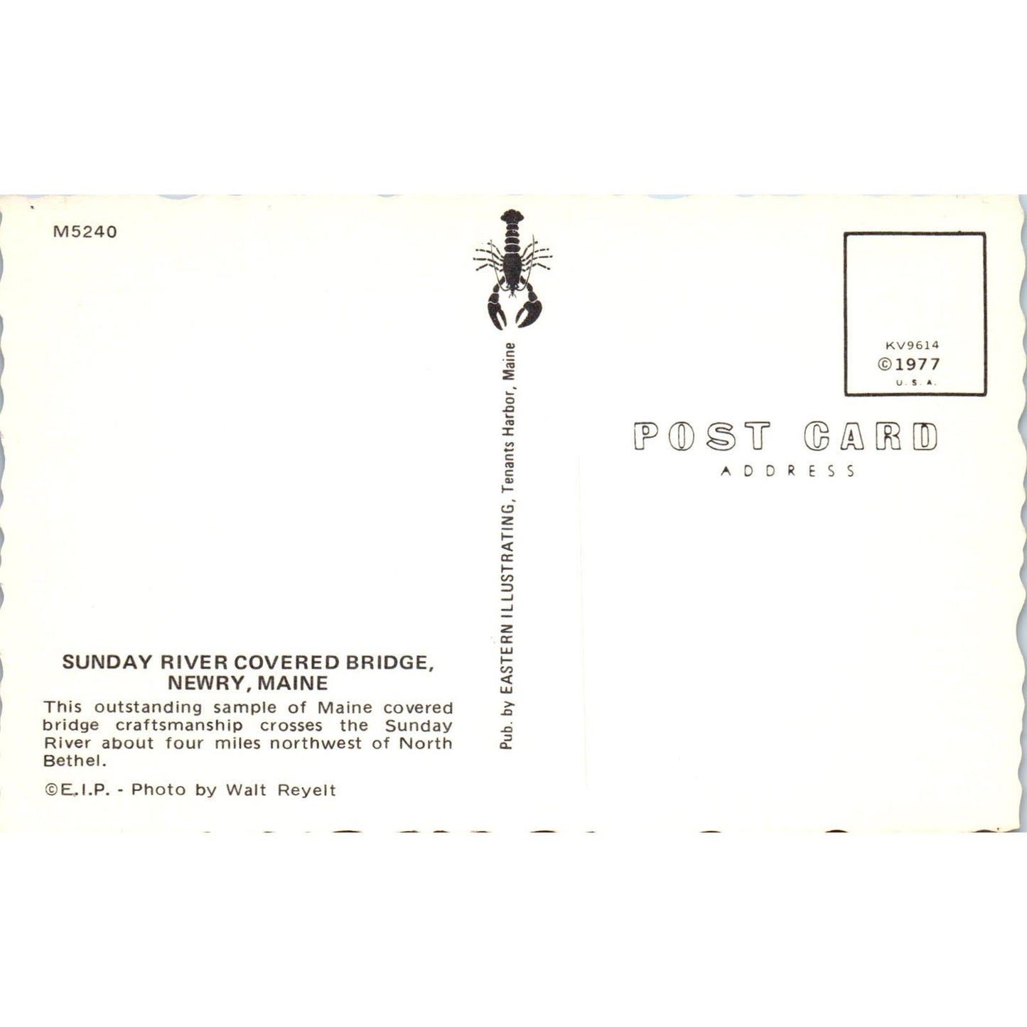 Sunday River Bridge Newry Maine Covered Bridge Postcard PB12