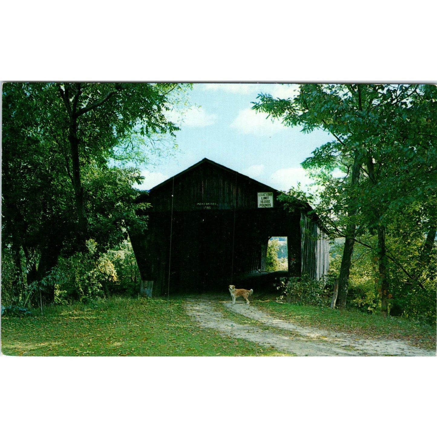 Old Covered Mead Bridge Pittsford VT Covered Bridge Postcard PB11
