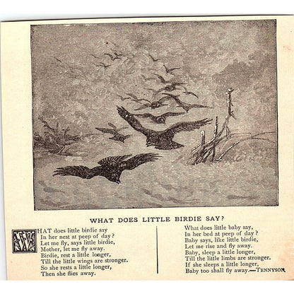 What Does Little Birdie Say - Tennyson 1884 Poem AG3-1