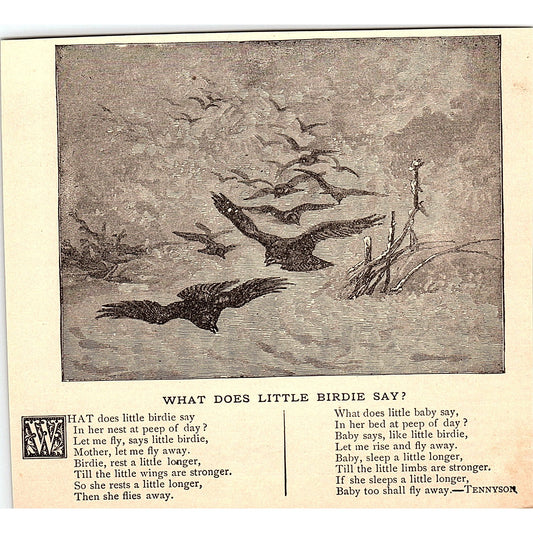 What Does Little Birdie Say - Tennyson 1884 Poem AG3-1