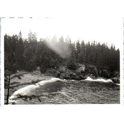 1920s Original Photo View of Bar Harbor Mount Desert Island Maine 3x4" AE6