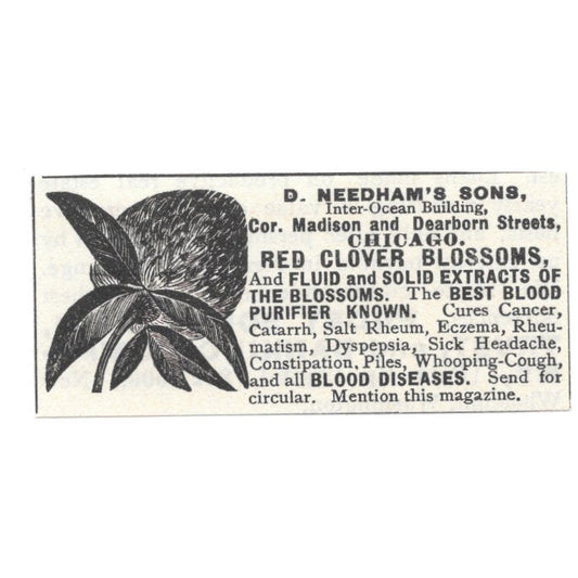 Dr. Needham's Sons Red Clover Blossom Chicago c1890 Victorian Ad AE8-CH11