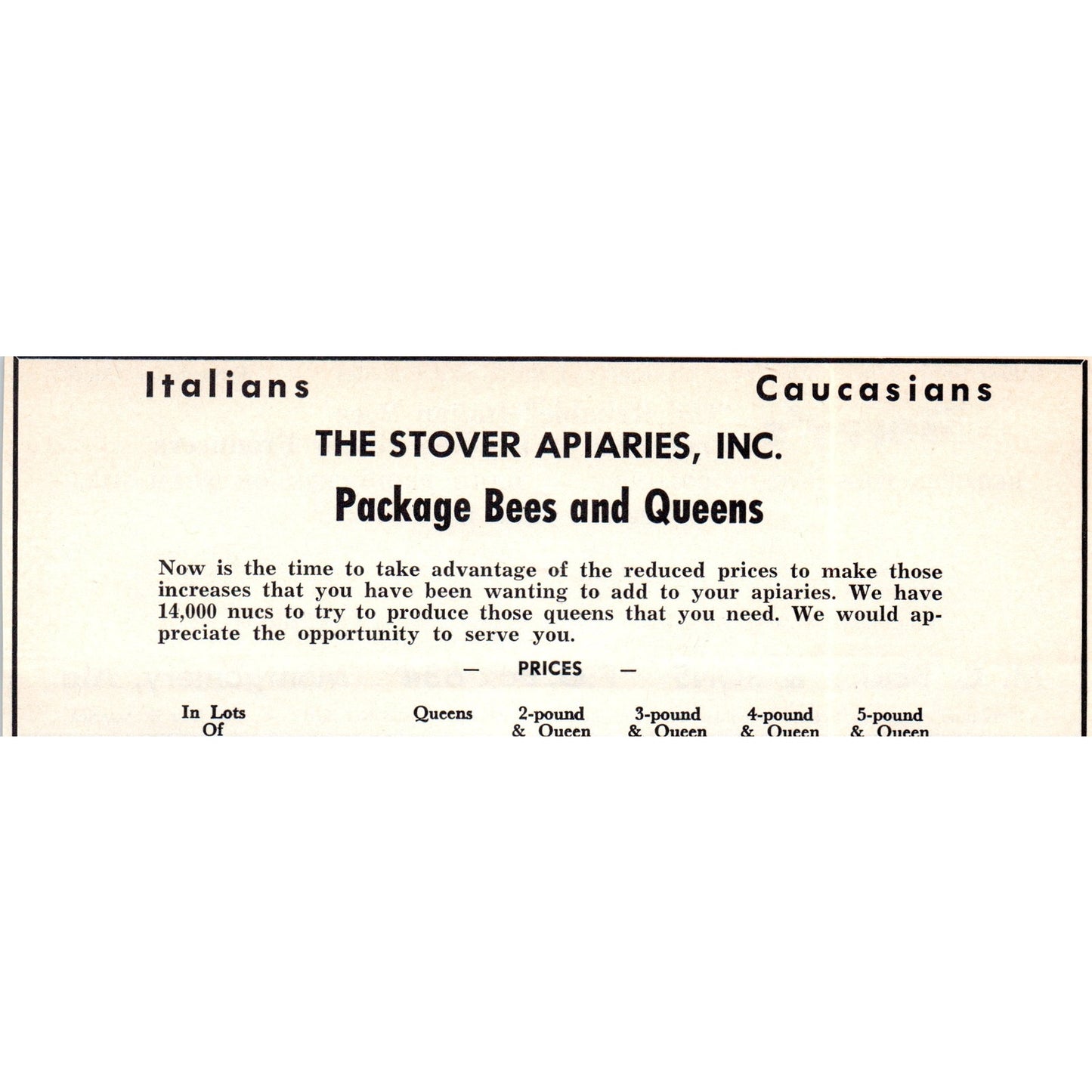 M.C. Berry & Sons Italian Bees Montgomery AL 1964 Magazine Ad AB6-LB