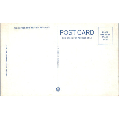 Boldt Castle Heart Island Thousand Islands New York Vintage Postcard PD3