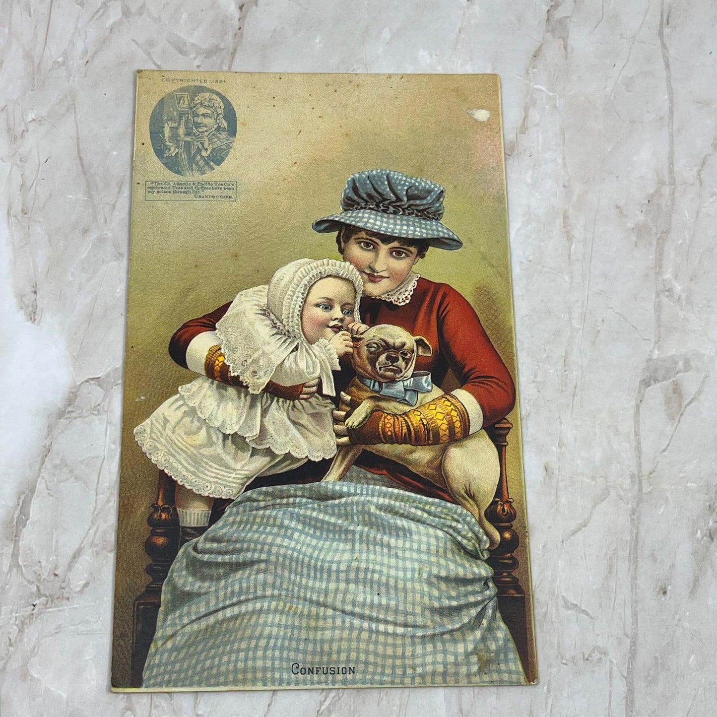 1884 Great Atlantic and Pacific Tea Co Baby Puppy Large Victorian Trade Card AE4